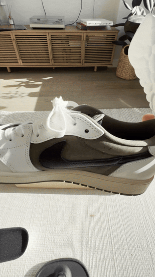 Insert Into Shoe
